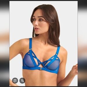 NWT Bluebella Oslo Bra In Egyptian Blue